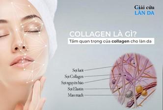 TẦM QUAN TRỌNG CỦA COLLAGEN ĐỐI VỚI CƠ THỂ